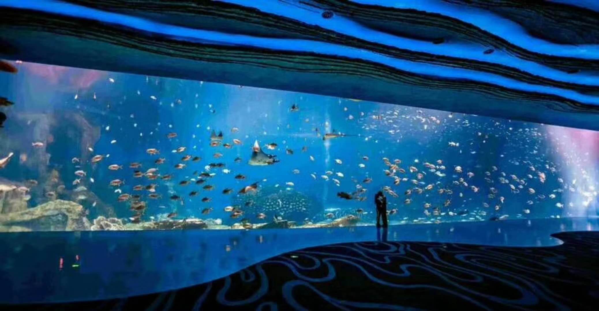 海洋館水族館生物養(yǎng)殖用水臭氧殺菌，滅藻