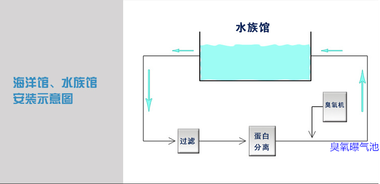 海洋館過(guò)濾，蛋分，臭氧，曝氣池.png